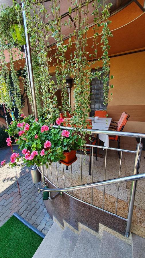 Pensiunea Select Arad Extérieur photo