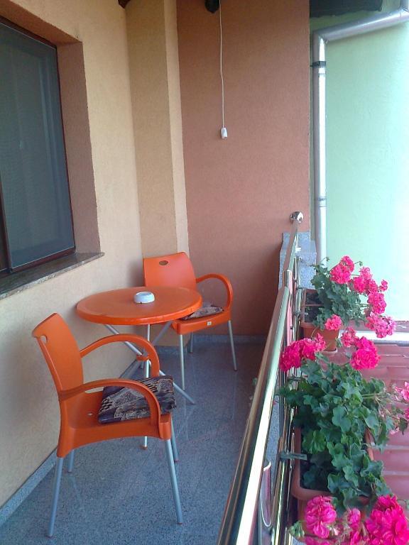 Pensiunea Select Arad Chambre photo